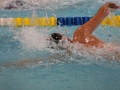IMG_2901 (800x533)