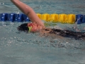 IMG_2906 (800x533)