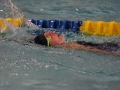 IMG_2907 (800x533)