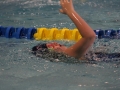 IMG_2908 (800x533)