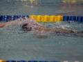 IMG_2911 (800x533)