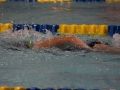 IMG_2912 (800x533)