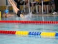 IMG_2914 (800x533)