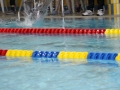 IMG_2915 (800x533)