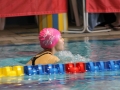 IMG_2918 (800x533)