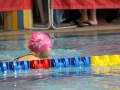 IMG_2919 (800x533)