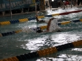 IMG_2931 (800x533)