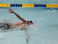 IMG_2934 (800x533)
