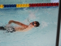IMG_2935 (800x533)