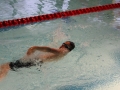 IMG_2938 (800x533)