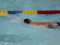 IMG_2939 (800x533)