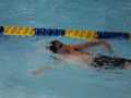 IMG_2940 (800x533)