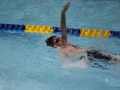 IMG_2941 (800x533)