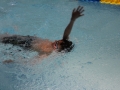 IMG_2942 (800x533)