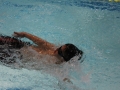 IMG_2952 (800x533)