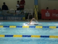 IMG_2959 (800x533)