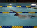 IMG_2965 (800x533)