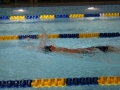 IMG_2966 (800x533)