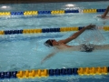 IMG_2970 (800x533)
