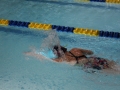 IMG_2989 (800x533)
