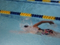 IMG_2990 (800x533)