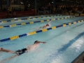 IMG_3006 (800x533)