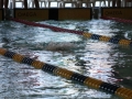 IMG_3111 (800x533)