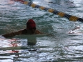 IMG_3118 (800x533)