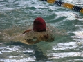 IMG_3122 (800x533)