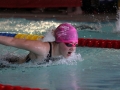 IMG_3128 (800x533)