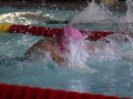 IMG_3129 (800x533)