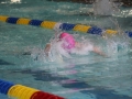 IMG_3137 (800x533)