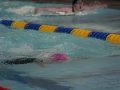 IMG_3138 (800x533)