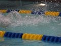 IMG_3156 (800x533)