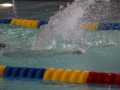 IMG_3157 (800x533)