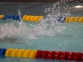 IMG_3158 (800x533)