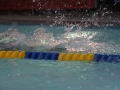 IMG_3159 (800x533)