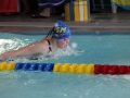 IMG_3161 (800x533)