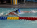 IMG_3162 (800x533)