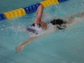 IMG_3179 (800x533)
