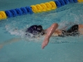 IMG_3180 (800x533)