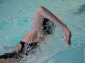 IMG_3185 (800x533)