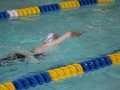 IMG_3186 (800x533)