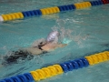 IMG_3187 (800x533)