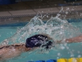 IMG_3210 (800x533)