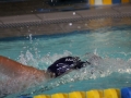 IMG_3211 (800x533)