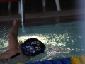 IMG_3212 (800x533)