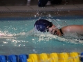 IMG_3219 (800x533)