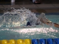 IMG_3221 (800x533)