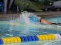 IMG_3227 (800x533)